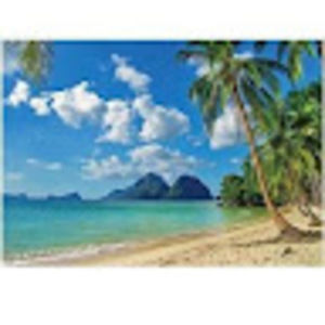 Meet your Posher, Wang